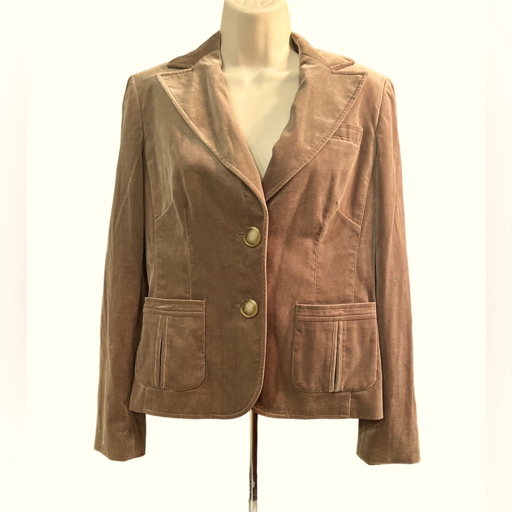 Beautiful Ann Taylor blazer